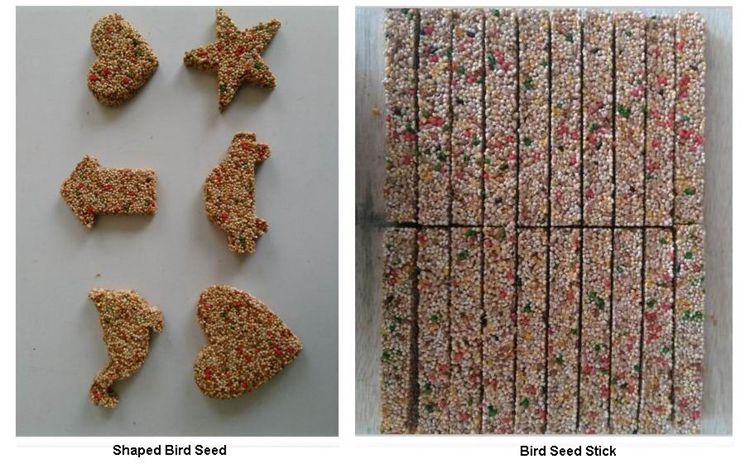 shaped bird seed.jpg